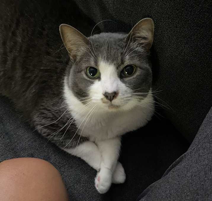 Photo of Miyagi