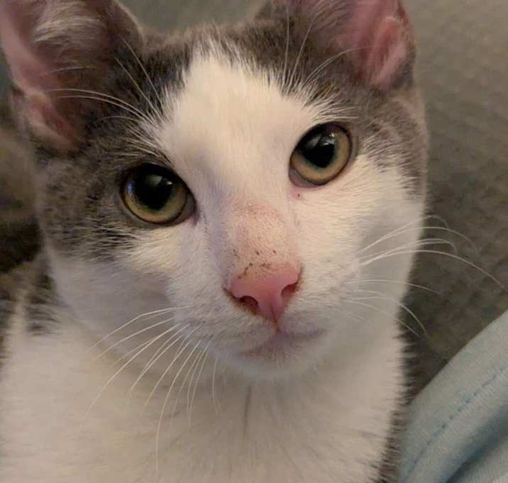 Photo of Larry