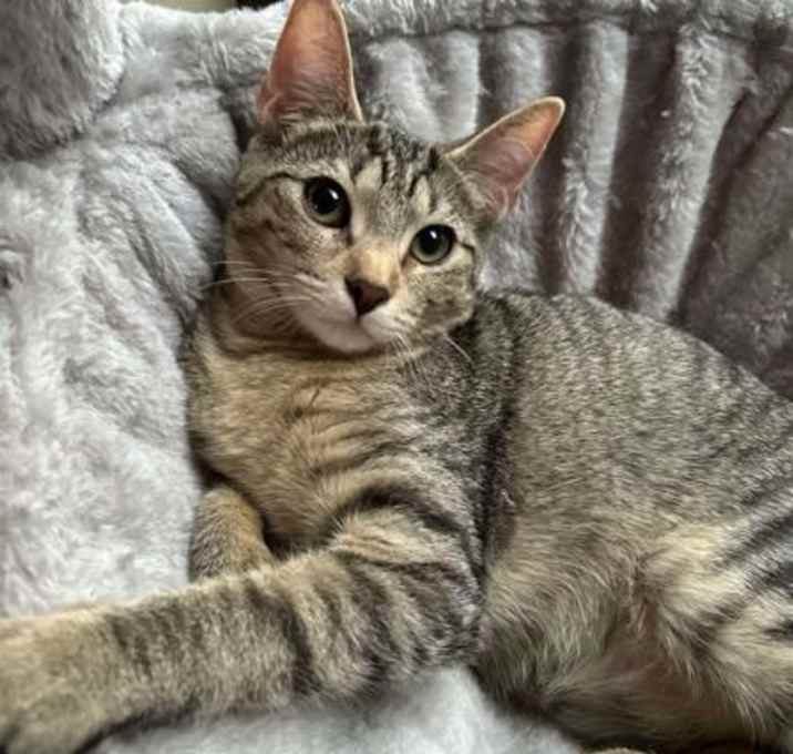 Photo of Effie
