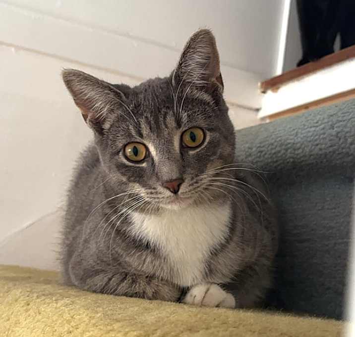 Photo of Josephine