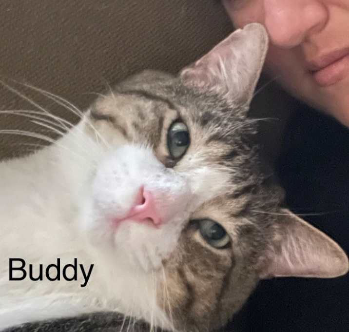 Photo of Buddy