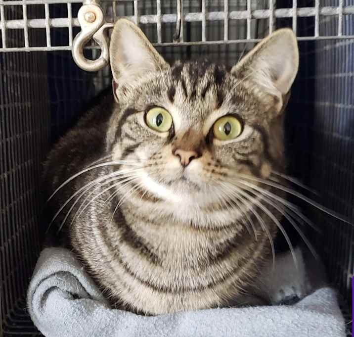 Photo of Sally Mae