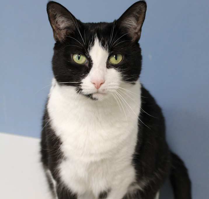 Photo of Spunky