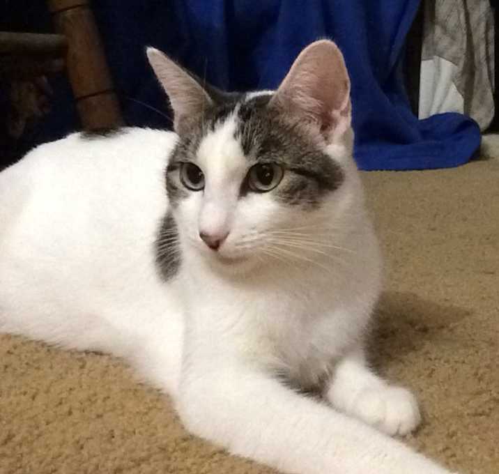 Photo of Lil Girl