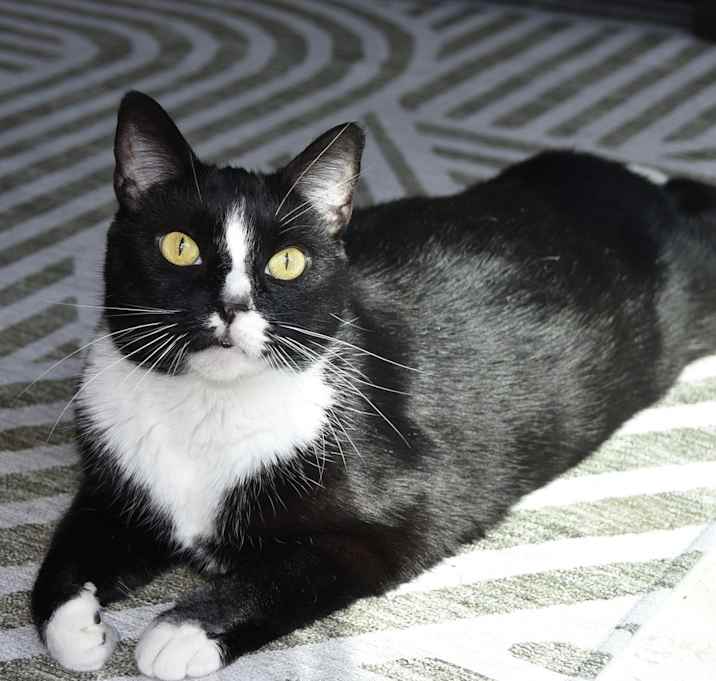 Photo of Salem