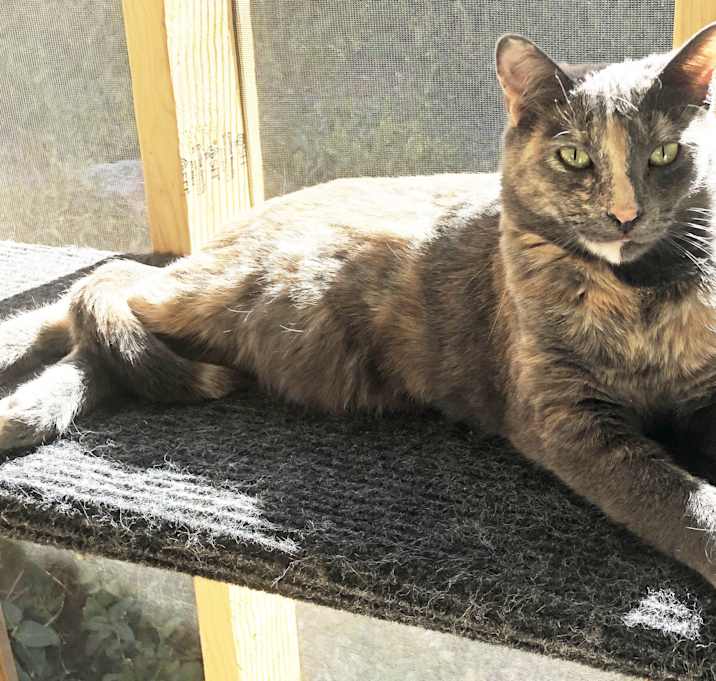Photo of NALA