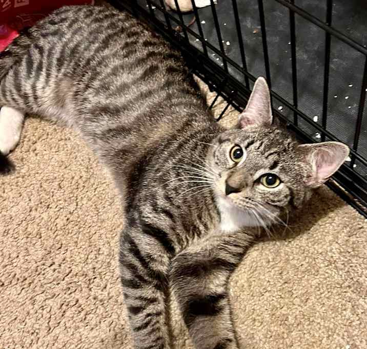 Photo of Gus