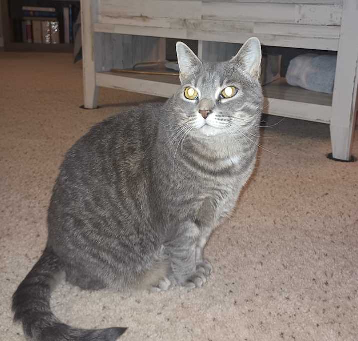 Photo of Marge