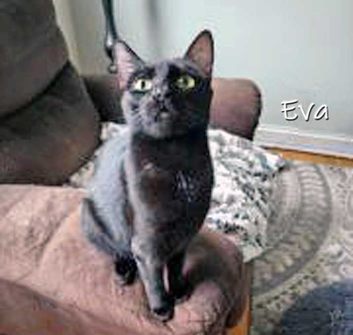 Photo of Eva