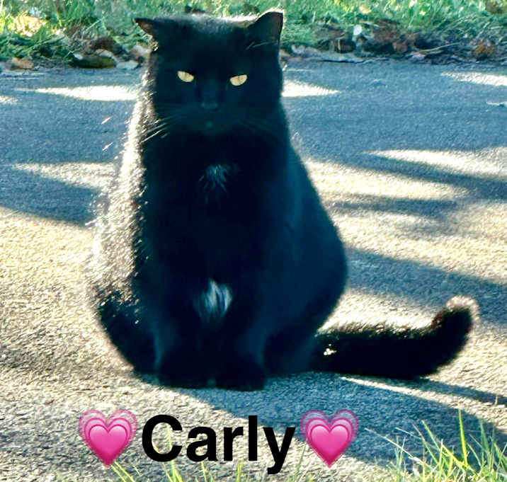 Photo of Carly