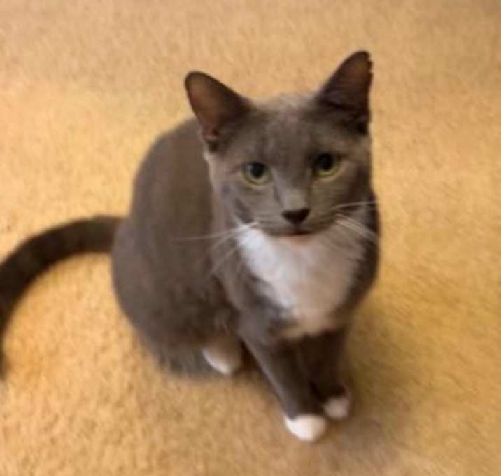 Photo of Emma
