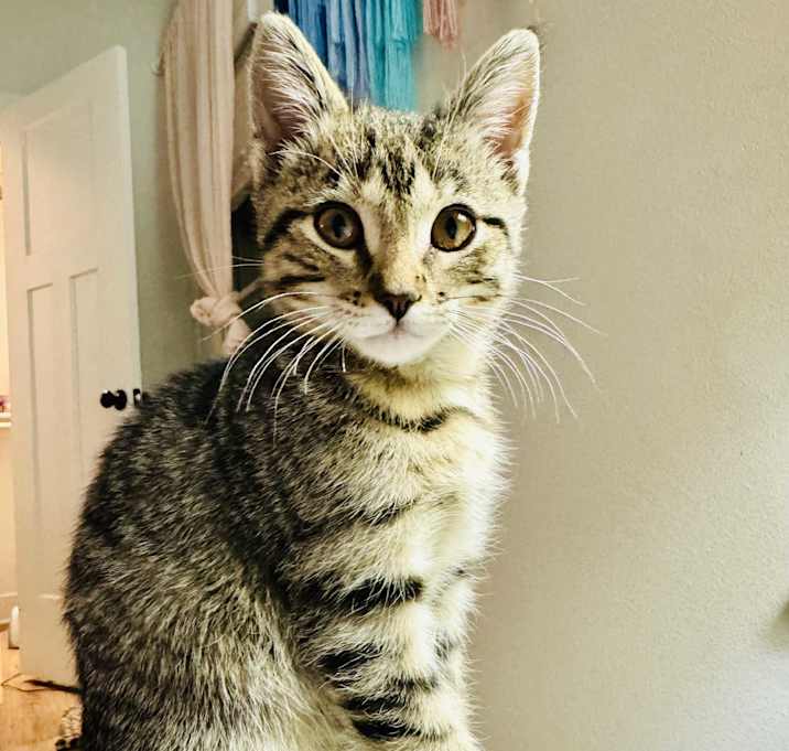Photo of Betty