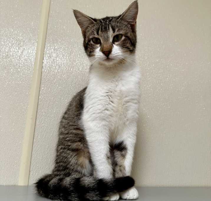Photo of Sprite