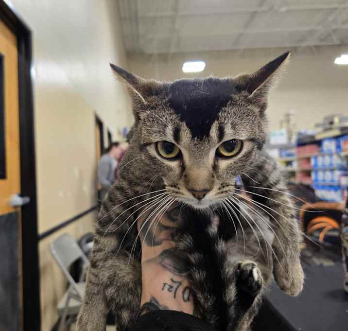 Photo of Cleo