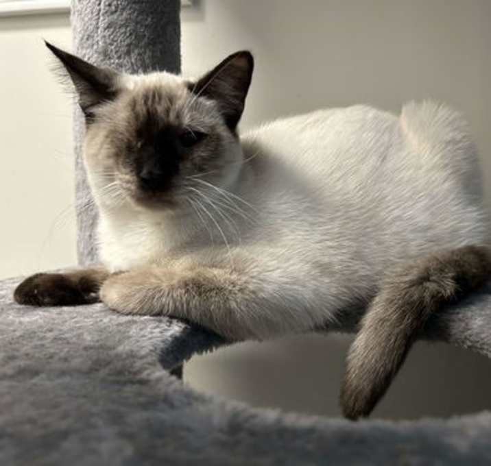 Photo of Fiona special needs one eye