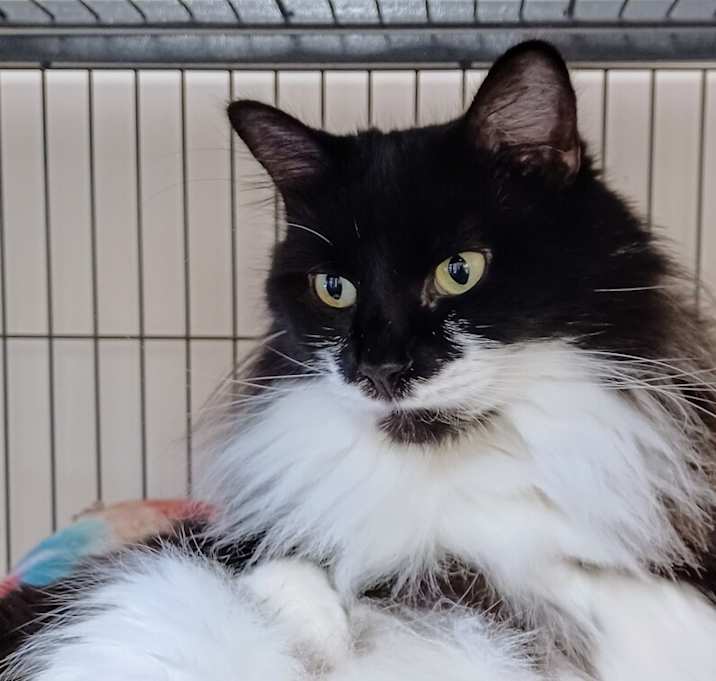 Photo of 6812 Layla