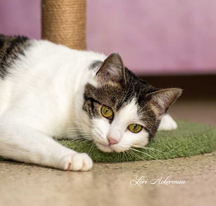 Photo of Yadira