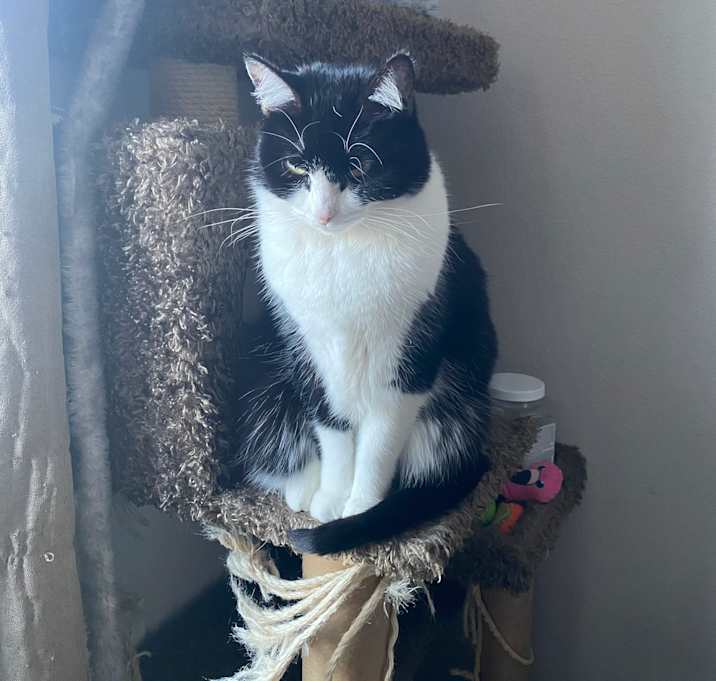 Photo of Lorelei