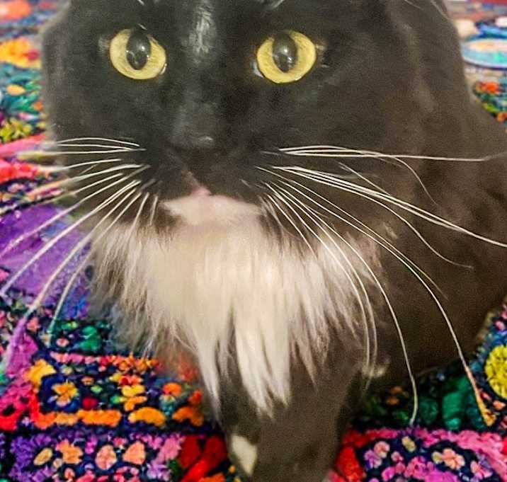 Photo of Mimi