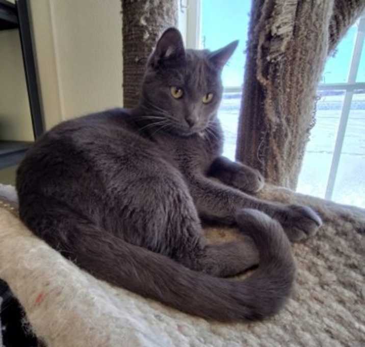 Photo of Gino