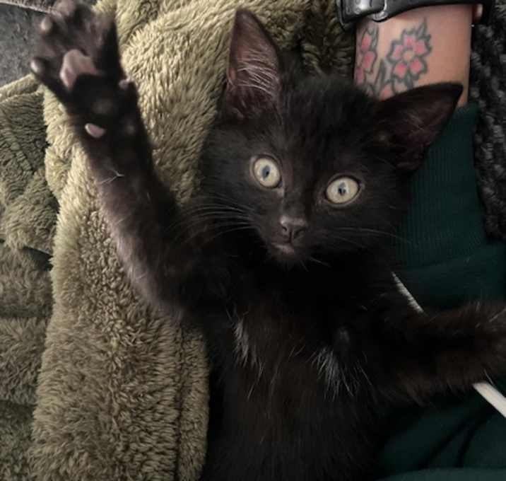 Photo of Salem
