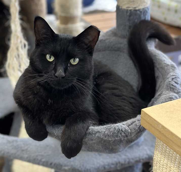 Photo of Luna