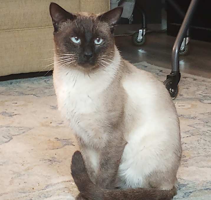 Photo of Jack