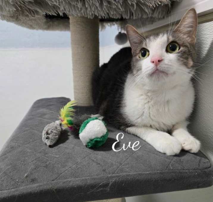 Photo of Evan
