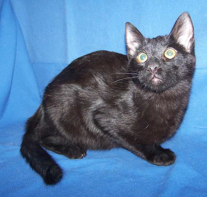 Photo of K-Baggett-T'Challa