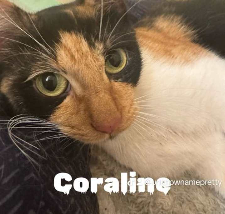 Photo of Coraline