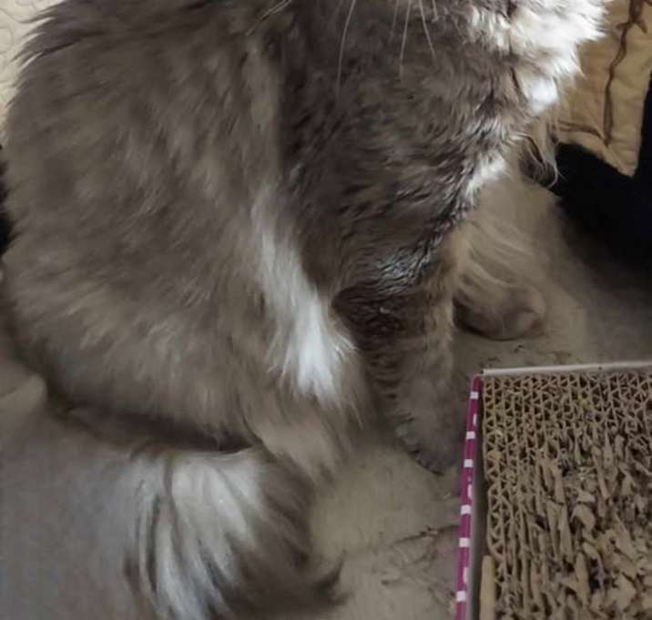 Photo of Asher