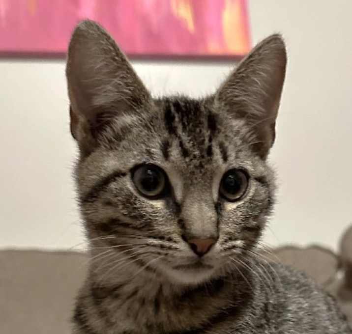 Photo of Mazie