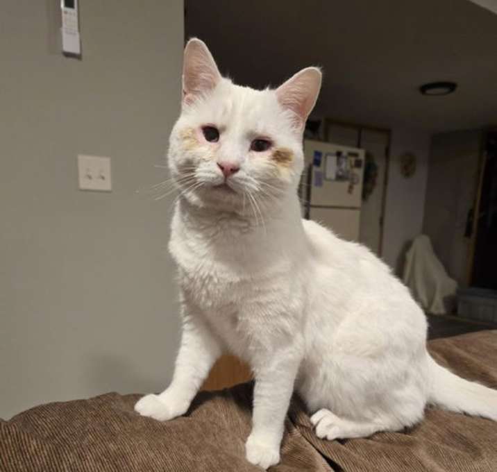 Photo of COURTESY- Casper