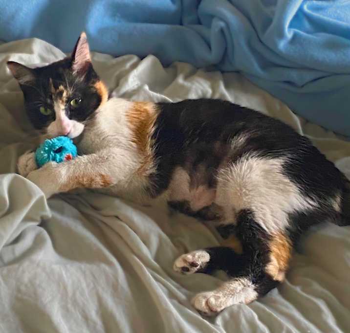 Photo of Caramel