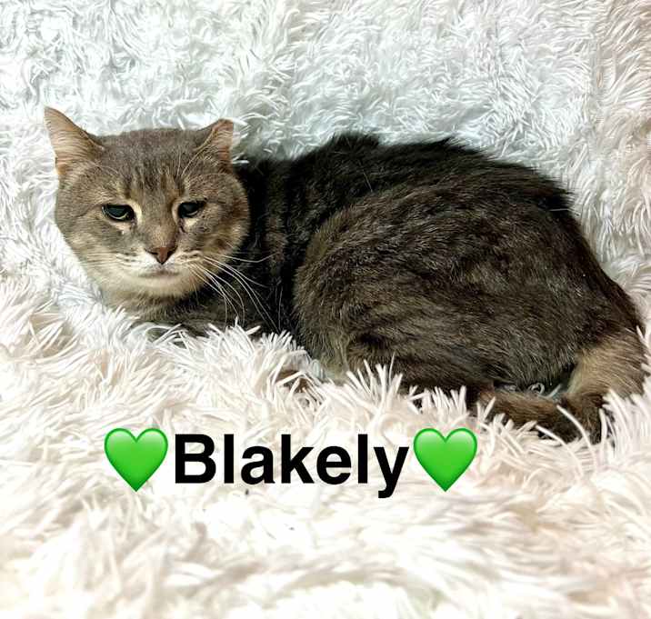 Photo of Blakely