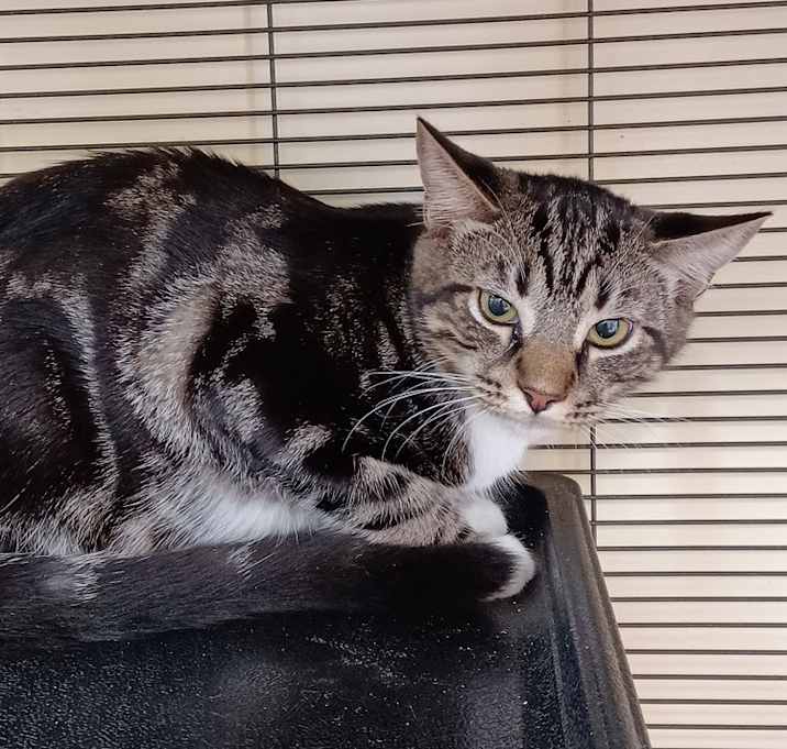 Photo of 6967 Mystic