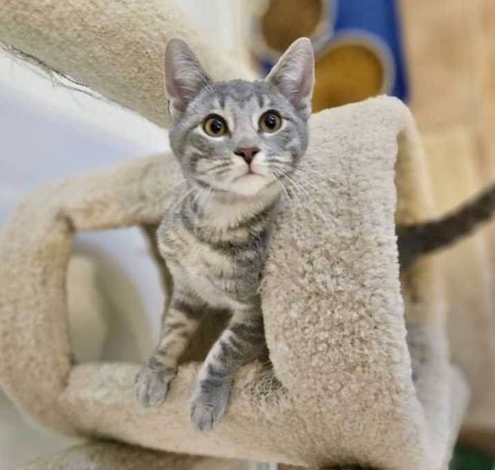 Photo of Breeze