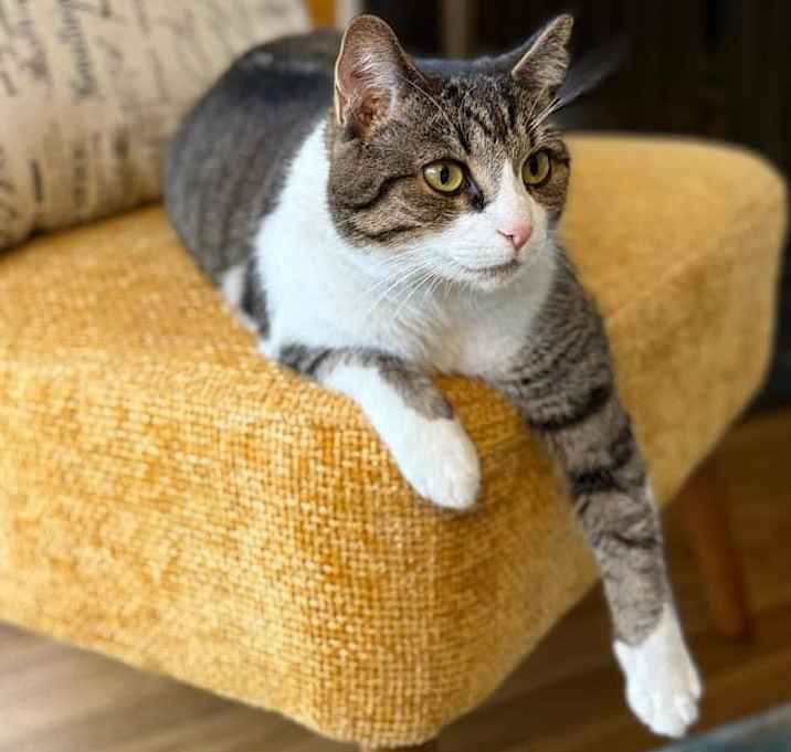 Photo of Ash
