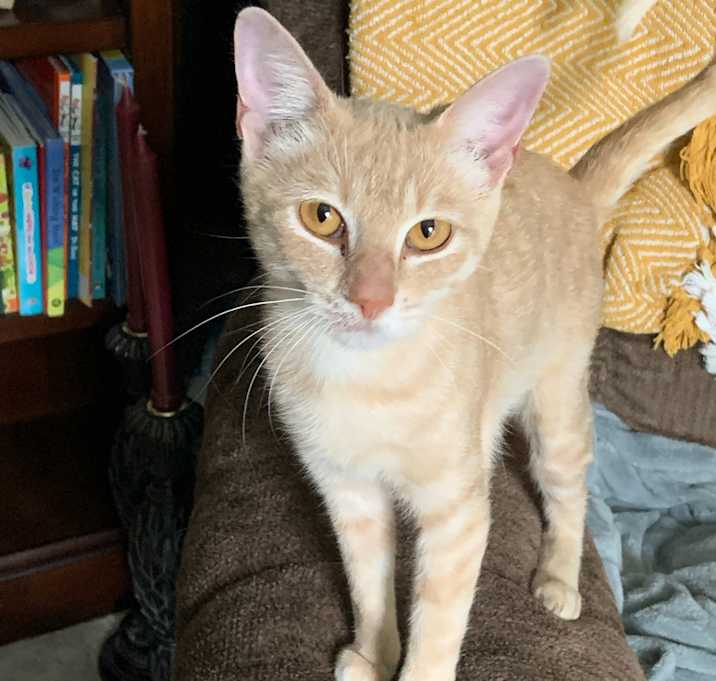 Photo of Belle