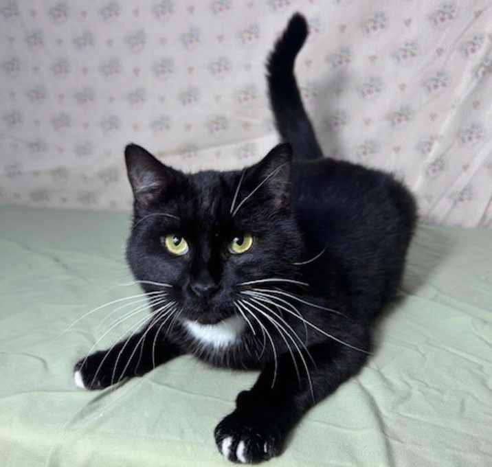 Photo of *BARNABY