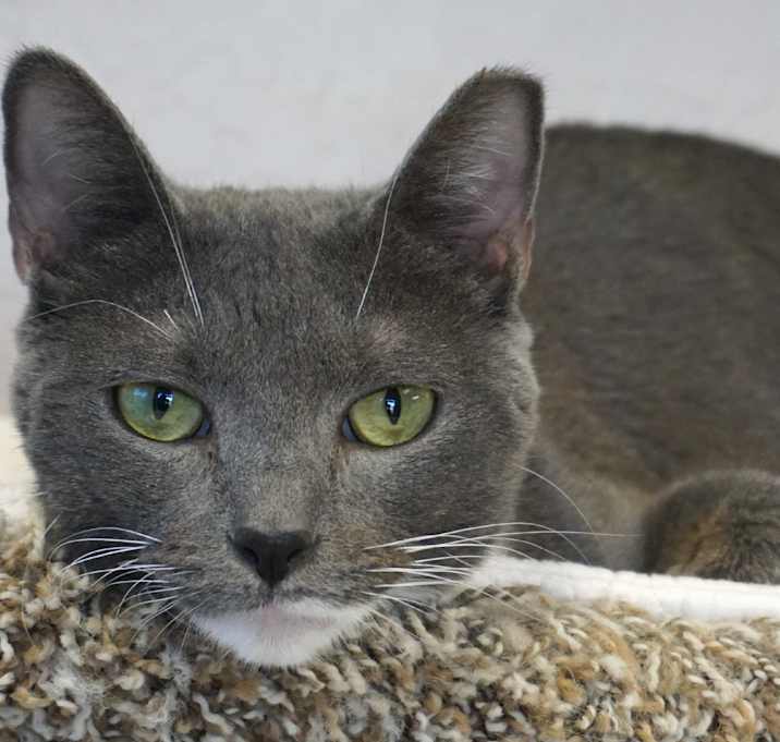 Photo of Miss Freya