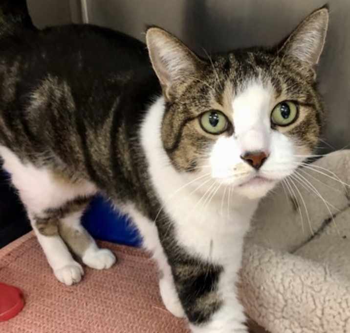 Photo of Delilah
