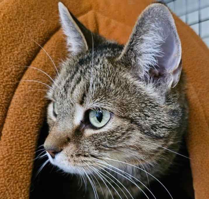 Photo of Lola