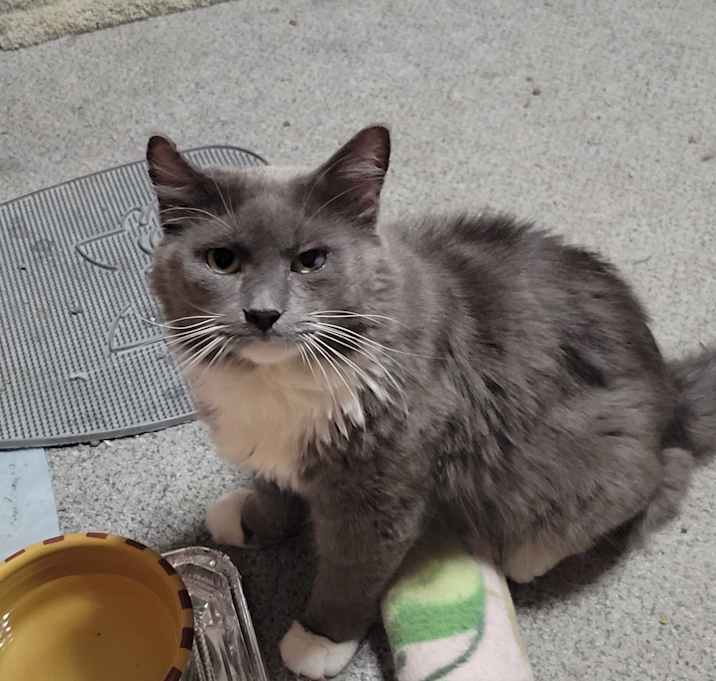 Photo of Walter