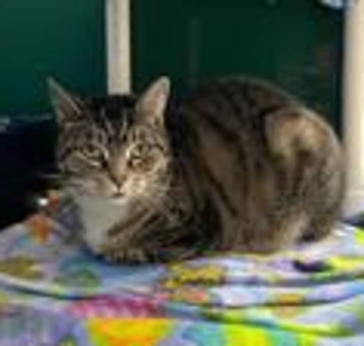 Photo of Neddy
