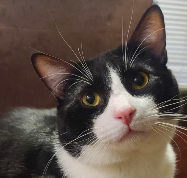 Photo of Kevin