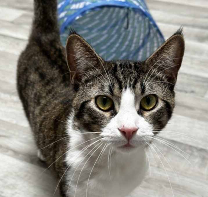 Photo of Junior