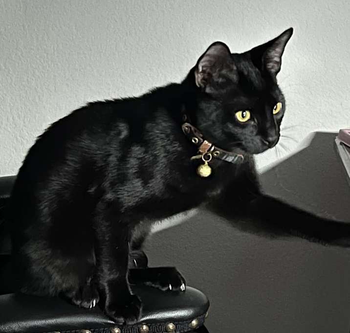 Photo of Billy BOBtail Thornton