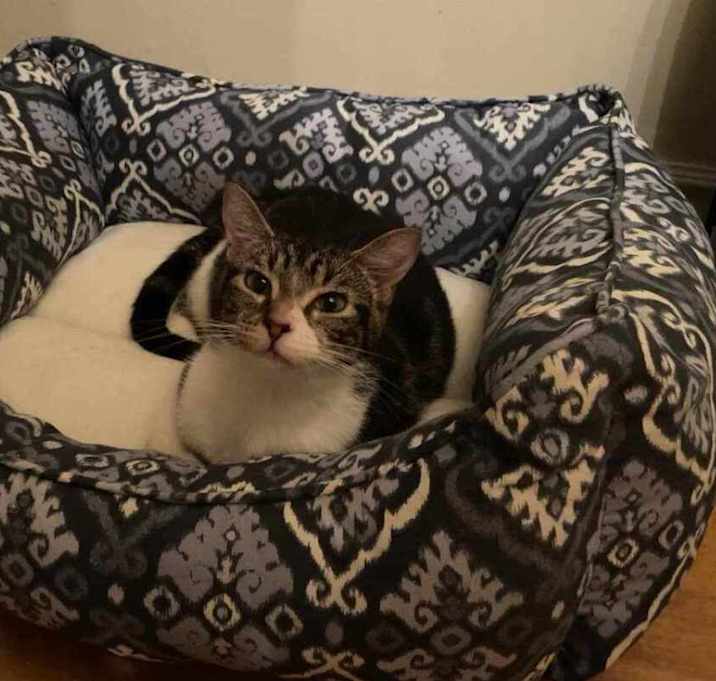 Photo of Mama Loofah