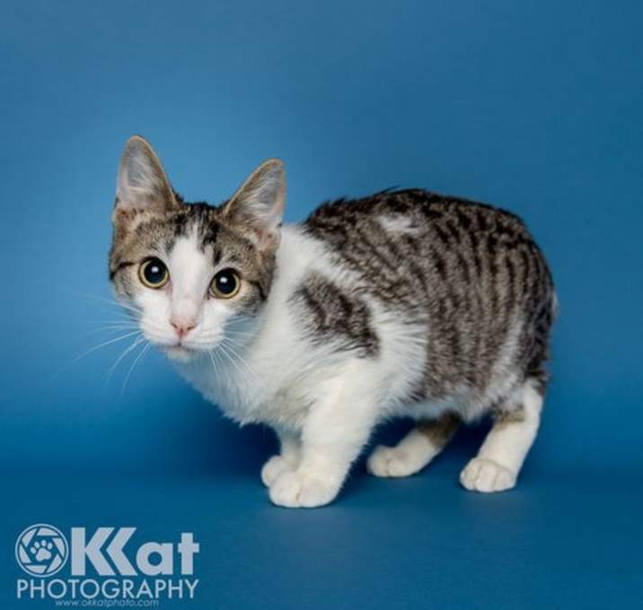 Photo of Rocket